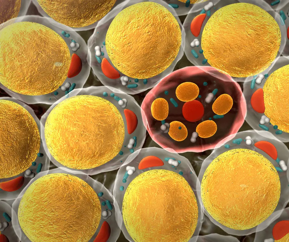 A vivid close up of an awake cell, radiating yellow and orange hues.