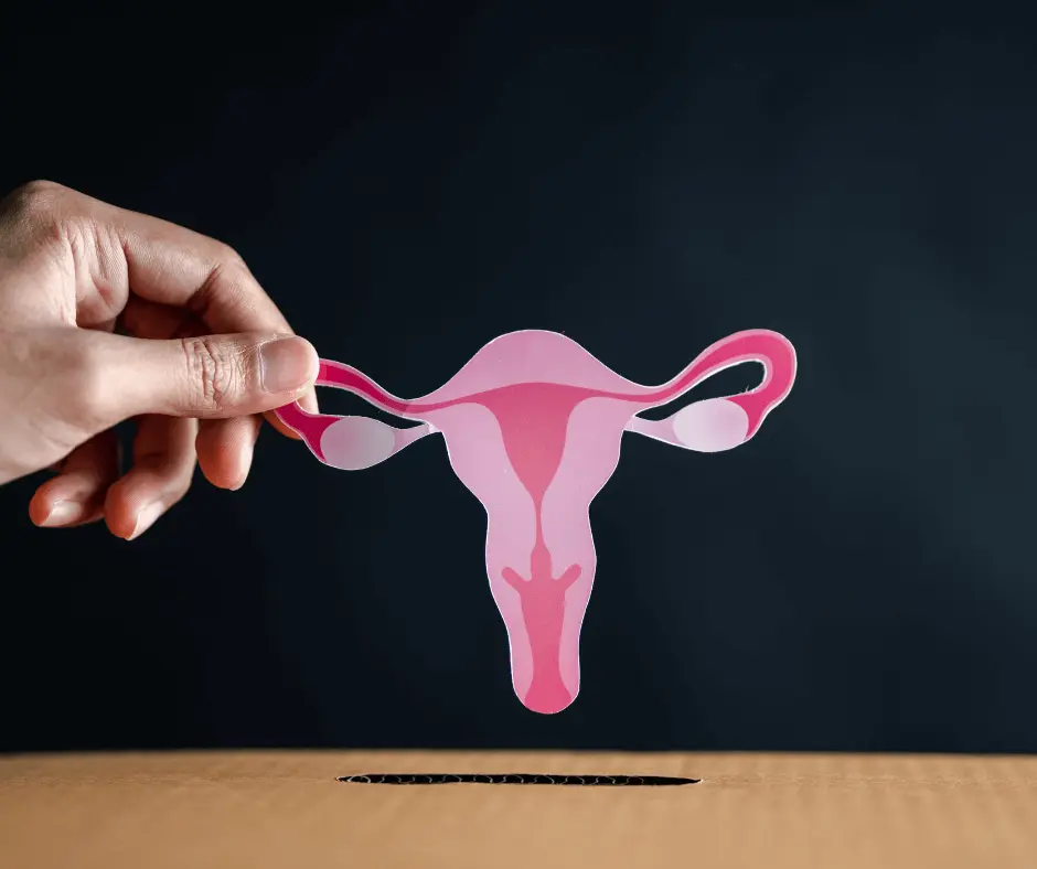 A hand putting a pink uterus into a box, related to PCOS.